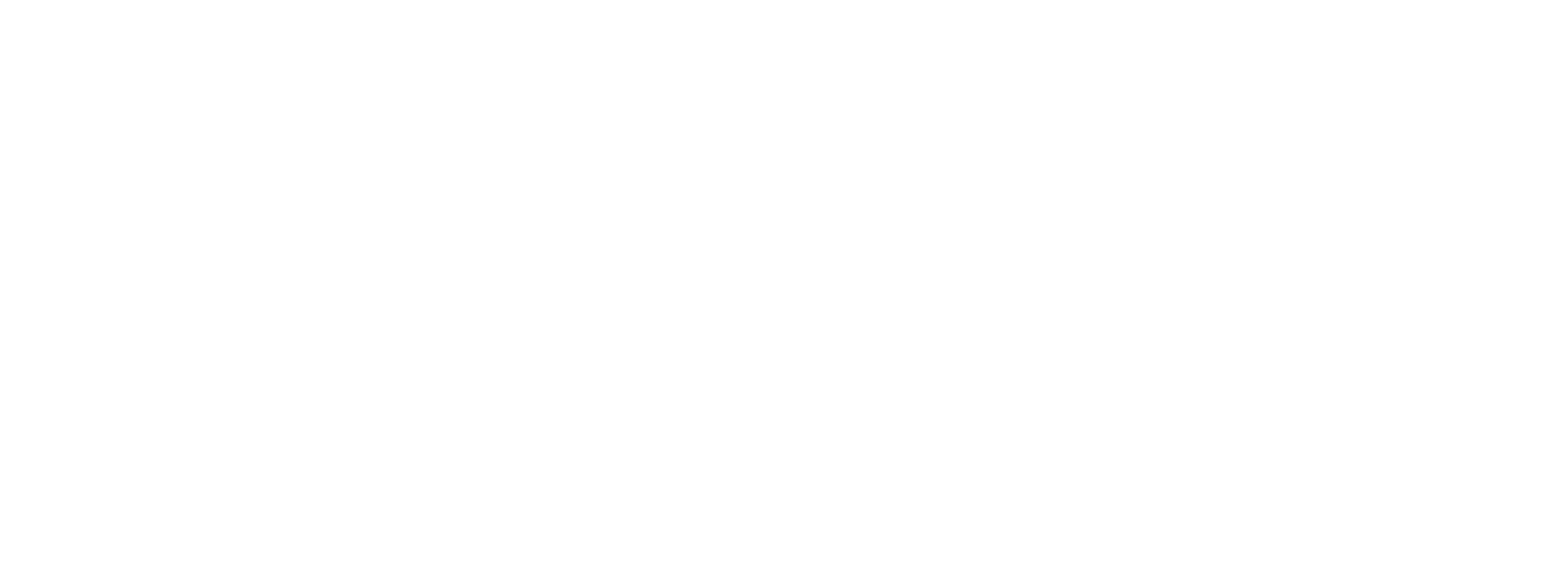 Iconique International Partners